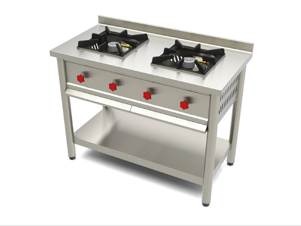 Stainless Steel Two Burner Gas Range